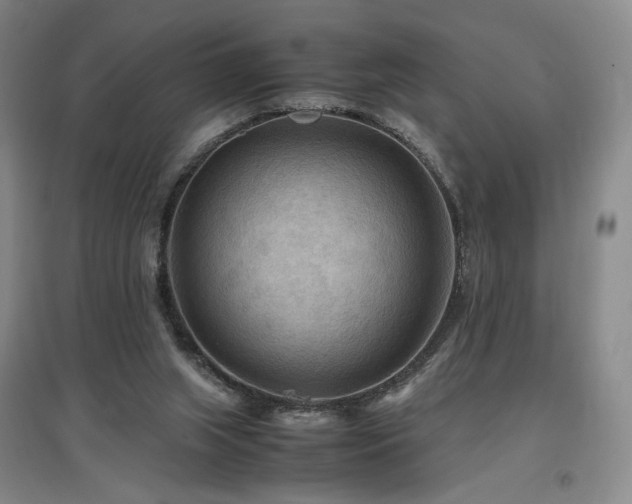 X0000097480063200802221401