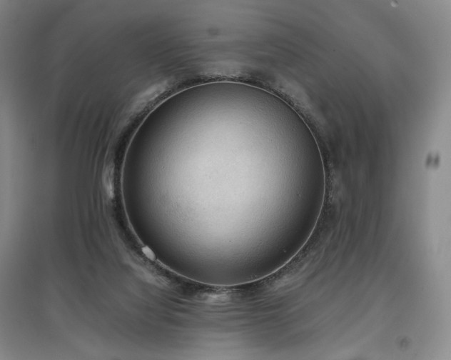 X0000097480068200802221401