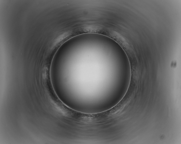 X0000097480071200802221401