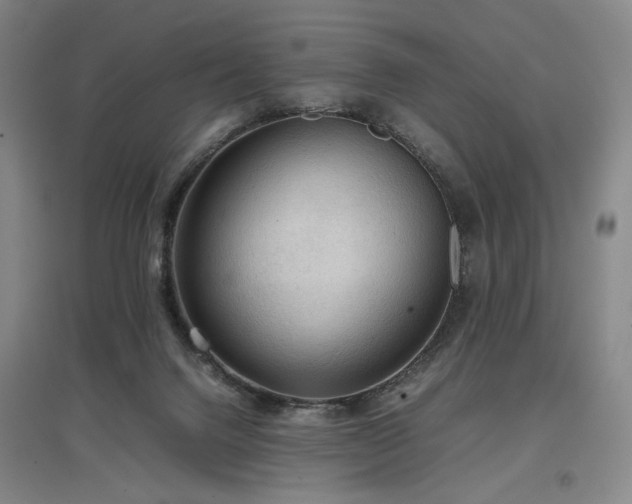 X0000097480072200802221401