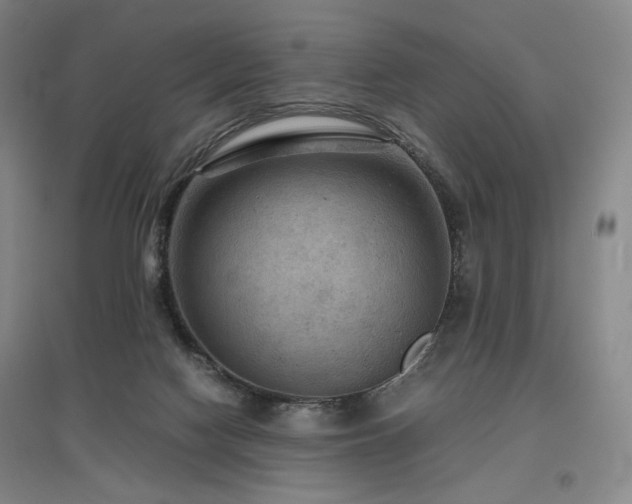 X0000097480074200802221401