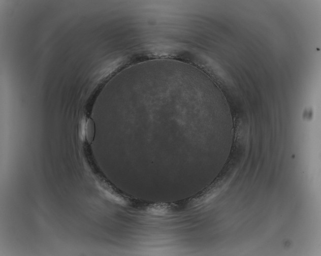 X0000097480076200802221402
