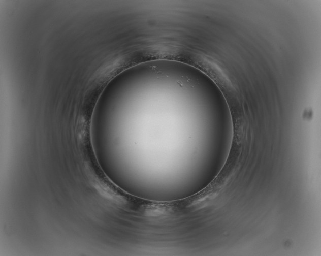 X0000097480077200802221402