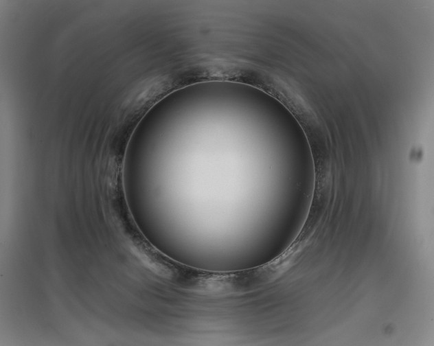 X0000097480078200802221402