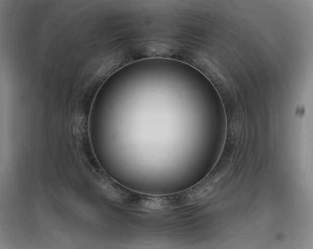 X0000097480079200802221402