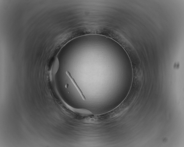 X0000097480080200802221402