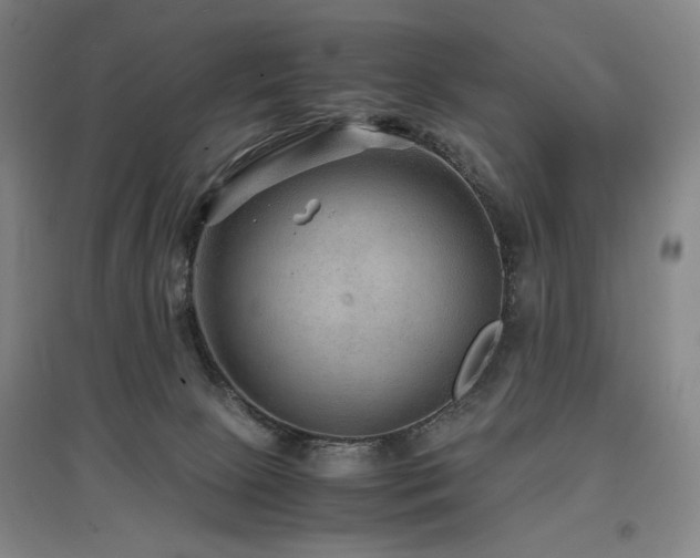 X0000097480081200802221402
