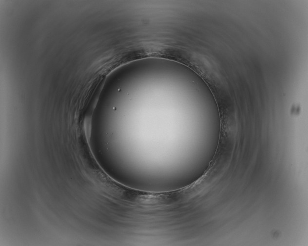 X0000097480082200802221402