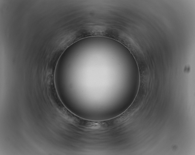 X0000097480083200802221402