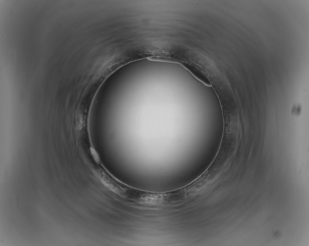 X0000097480084200802221402