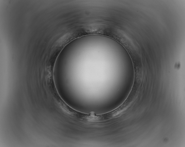 X0000097480085200802221402
