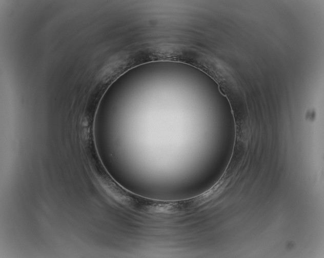 X0000097480086200802221402