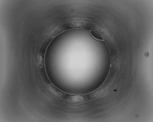 X0000097480087200802221402