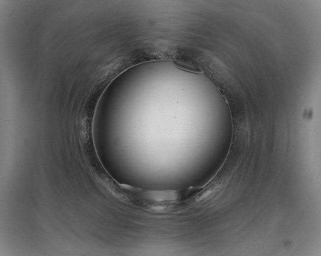 X0000097480088200802221402