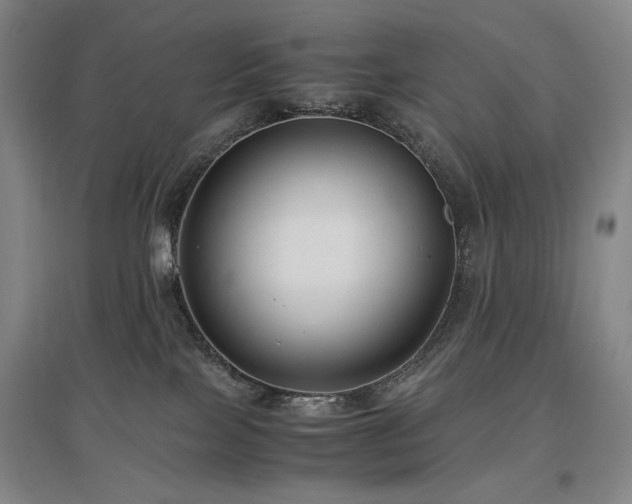 X0000097480089200802221402
