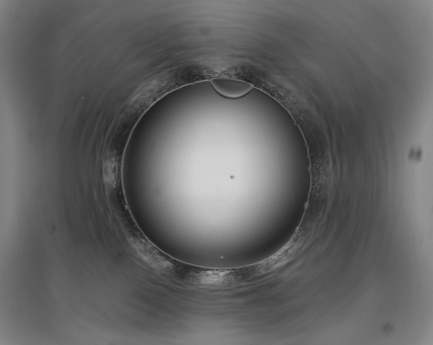 X0000097480090200802221402