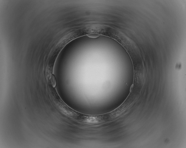 X0000097480091200802221402
