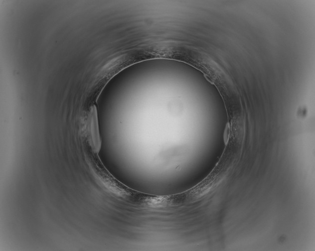 X0000097480092200802221402