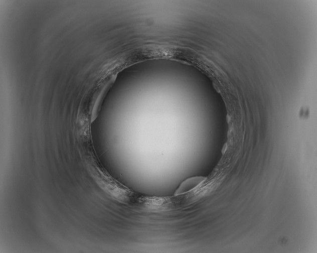 X0000097480096200802221402
