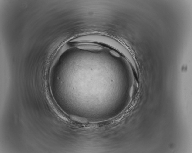X0000097480097200802221401