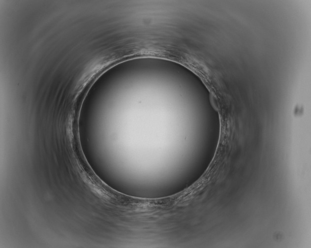 X0000097480098200802221401