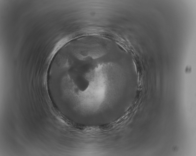 X0000097480099200802221401