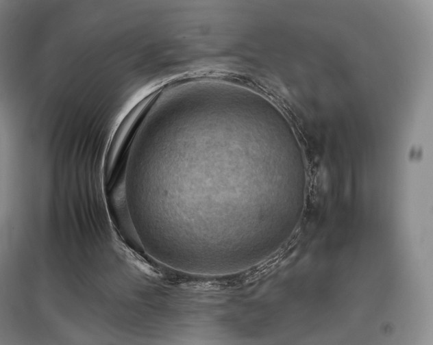 X0000097480100200802221401