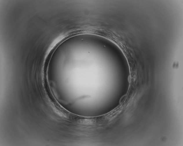 X0000097480102200802221401