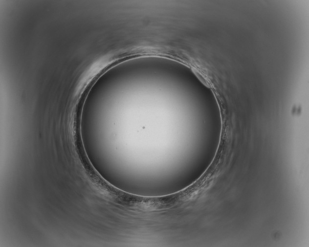 X0000097480103200802221401