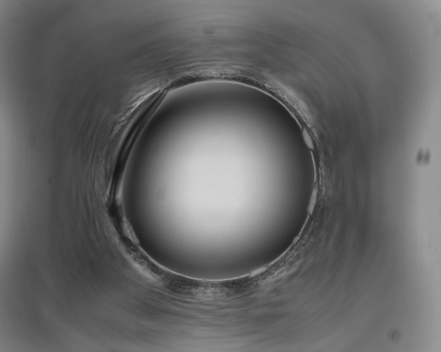 X0000097480105200802221401