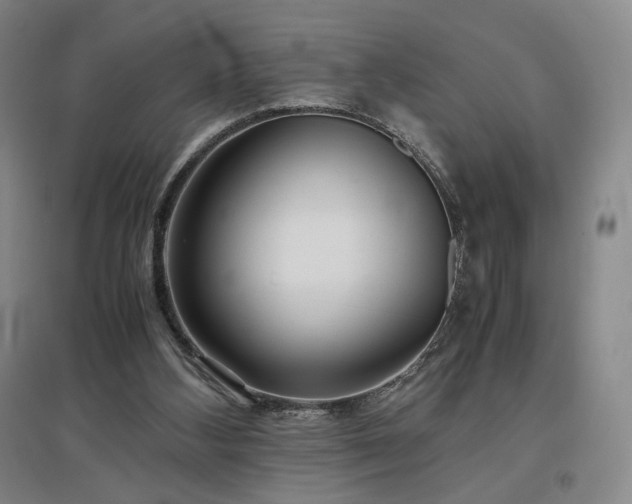 X0000097480108200802221401