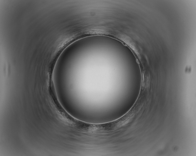 X0000097480109200802221401