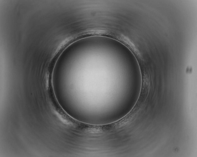 X0000097480110200802221401