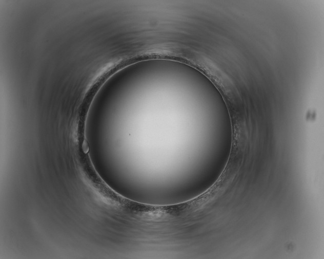 X0000097480112200802221401