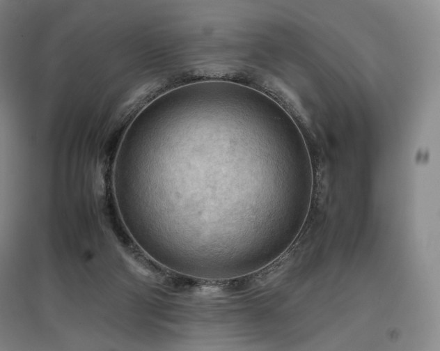 X0000097480114200802221401