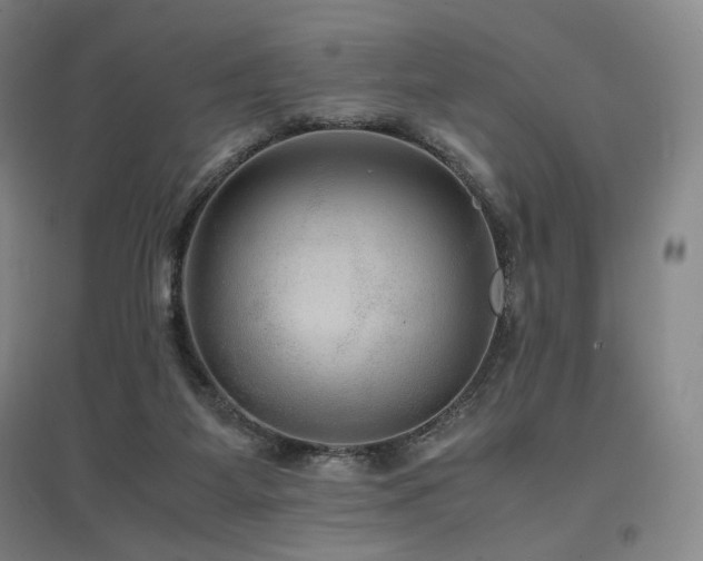 X0000097480115200802221401