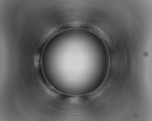 X0000097480118200802221401