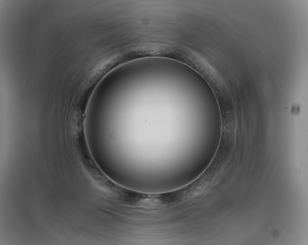 X0000097480119200802221401