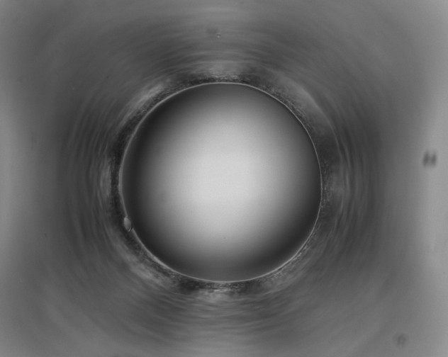X0000097480120200802221401