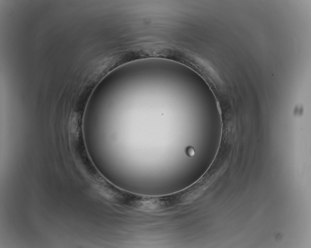 X0000097480121200802221401