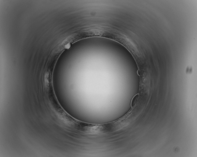 X0000097480122200802221401