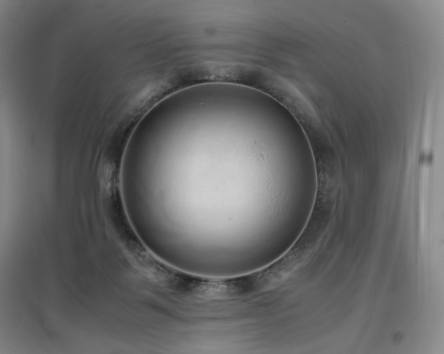 X0000097480123200802221401