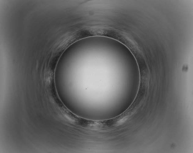 X0000097480125200802221401