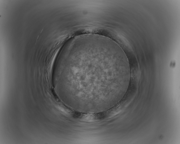 X0000097480127200802221401