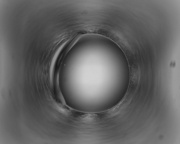 X0000097480128200802221401