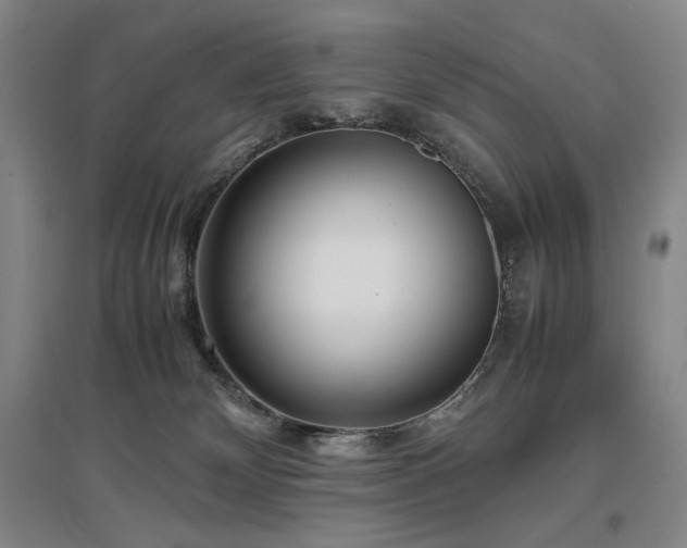 X0000097480132200802221400