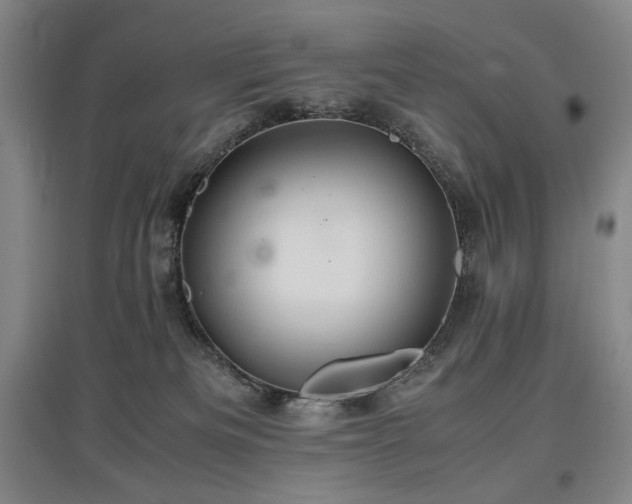 X0000097480133200802221400