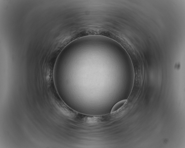 X0000097480134200802221400