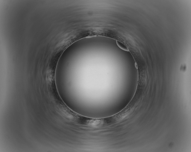 X0000097480135200802221400
