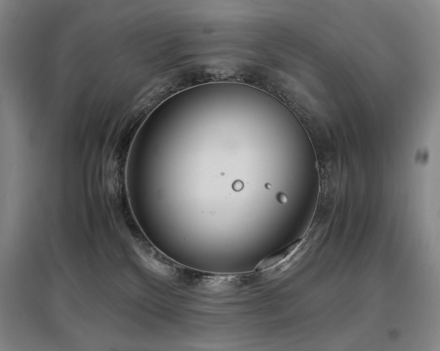 X0000097480136200802221400